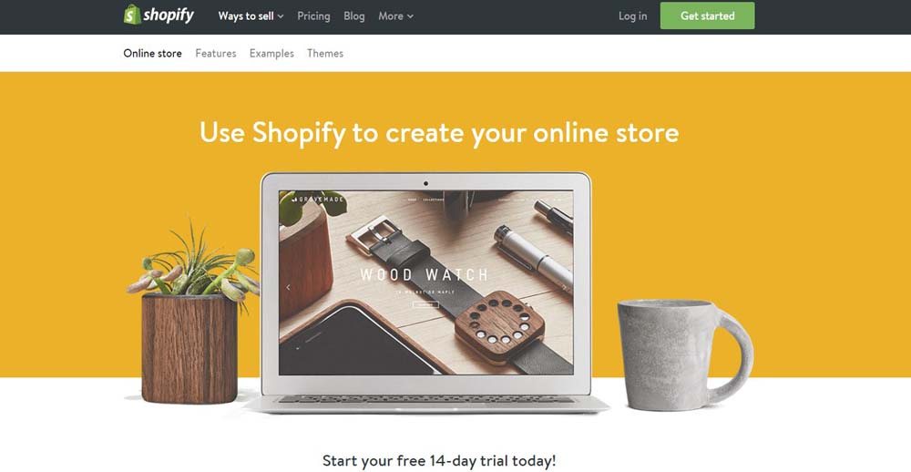 Shopify Hosted E-commerce Platform