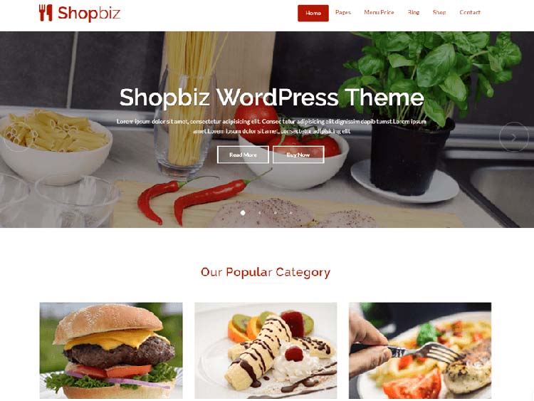 Free Plus Responsive WordPress Themes Shopbiz