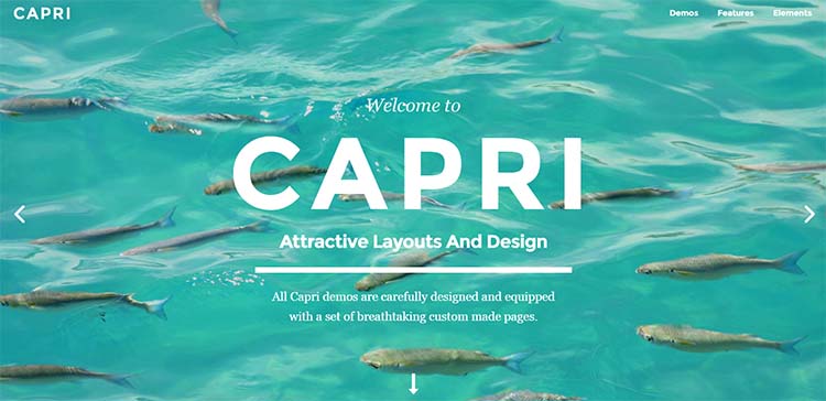 Capri Feminine WordPress Themes