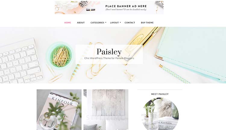 Paisley Feminine WordPress Themes