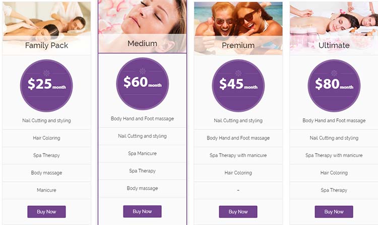 Salon WordPress Themes Spa Lab Price Plan